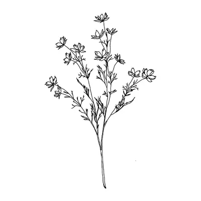 Ramo de flores silvestres fino