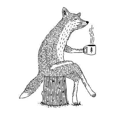 Raposa tomando café