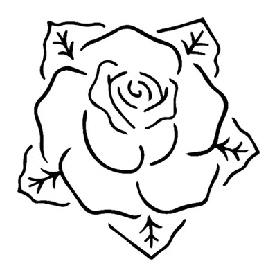 Rosa em contorno
