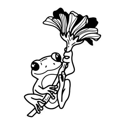 Sapo com flor