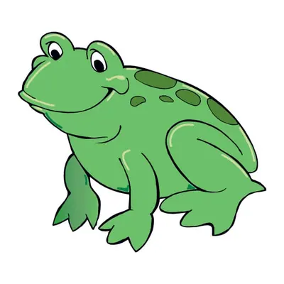 Sapo verde