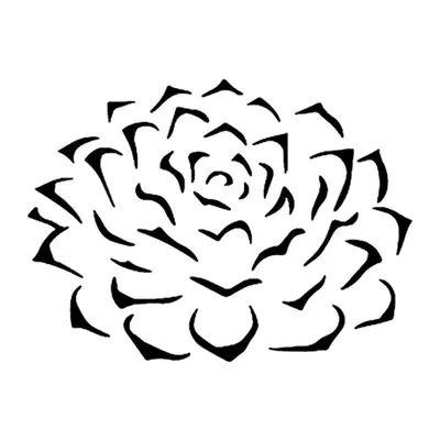 Suculenta