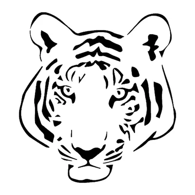 Tigre em traço grosso