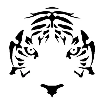 Tigre — olhos e focinho