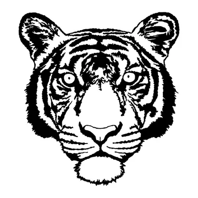 Tigre — rosto detalhado