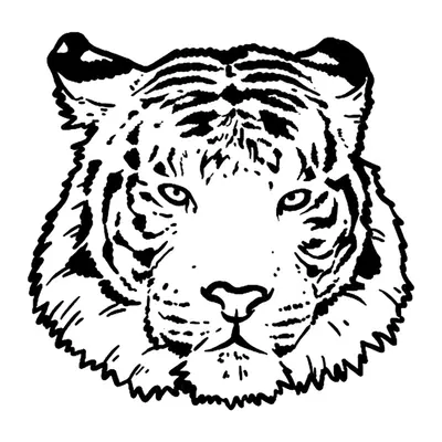 Tigre — rosto sombreado