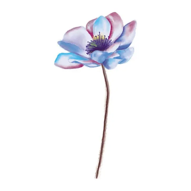 Tatuagem temporária Flores — Anêmona em aquarela. Inclui anêmona