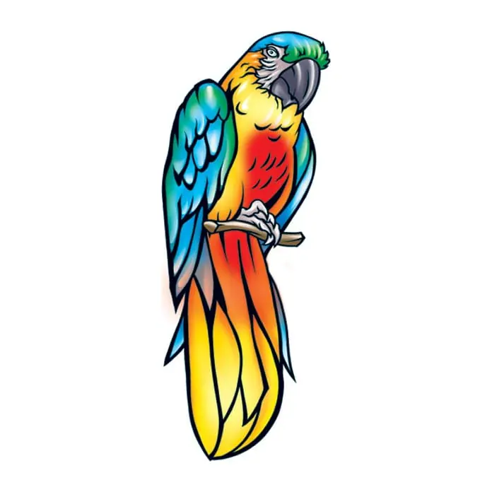 Tatuagem temporária Pássaros — Arara colorida. Inclui arara