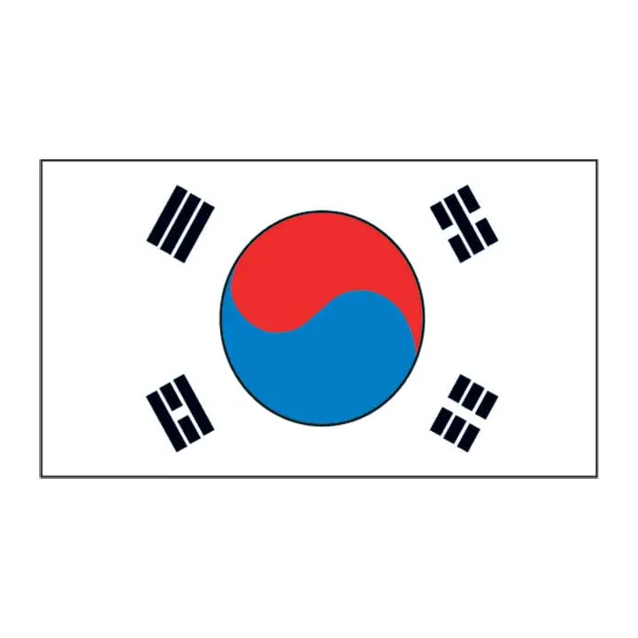 Tatuagem temporária Bandeiras — Bandeira da Coreia. Inclui bandeira