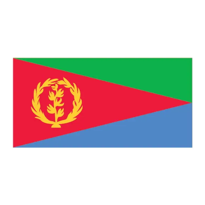 Tatuagem temporária Bandeiras — Bandeira da Eritreia. Inclui bandeira