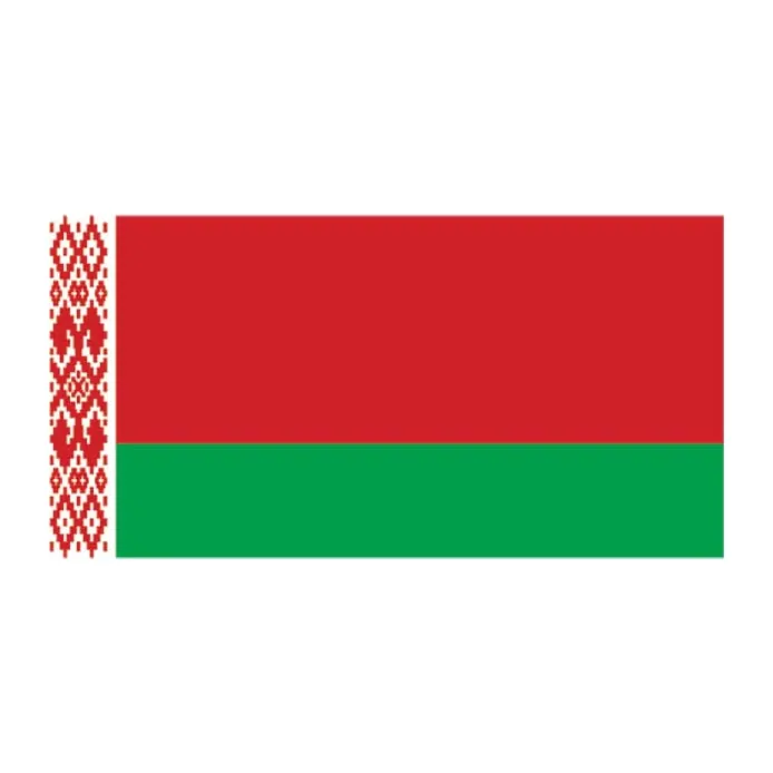 Tatuagem temporária Bandeiras — Bandeira de Belarus. Inclui bandeira