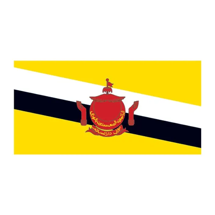 Tatuagem temporária Bandeiras — Bandeira de Brunei. Inclui bandeira