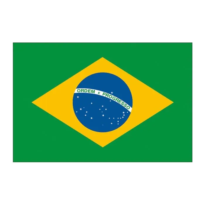 Tatuagem temporária Bandeiras — Bandeira do Brasil. Inclui bandeira