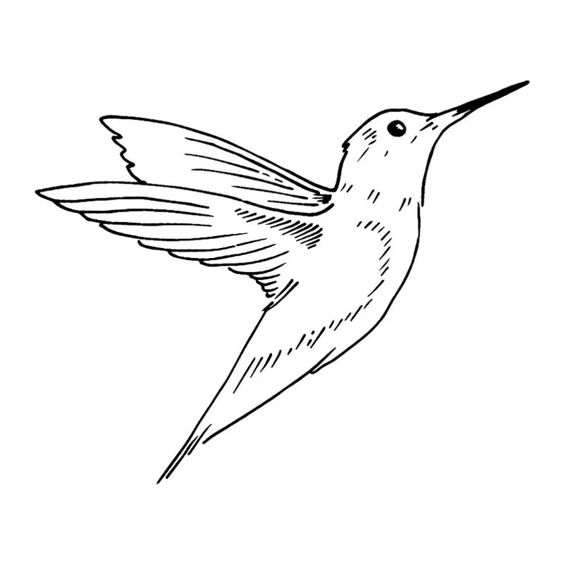 Tatuagem temporária Pássaros — Beija-flor em traço fino. Inclui beija-flor