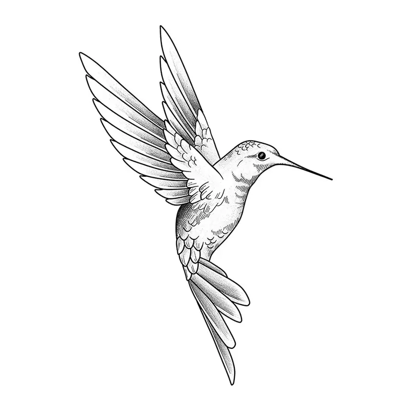 Tatuagem temporária Pássaros — Beija-flor realista. Inclui beija-flor, asas
