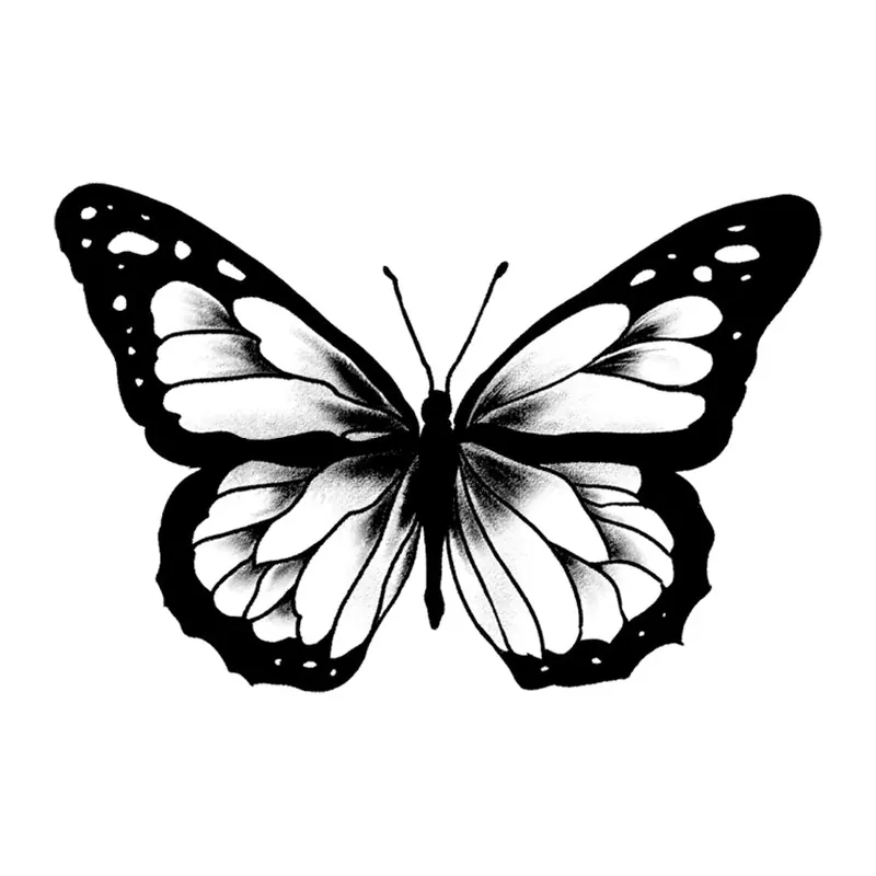 Tatuagem temporária Borboletas e Insetos — Borboleta com bordas pretas. Inclui borboleta