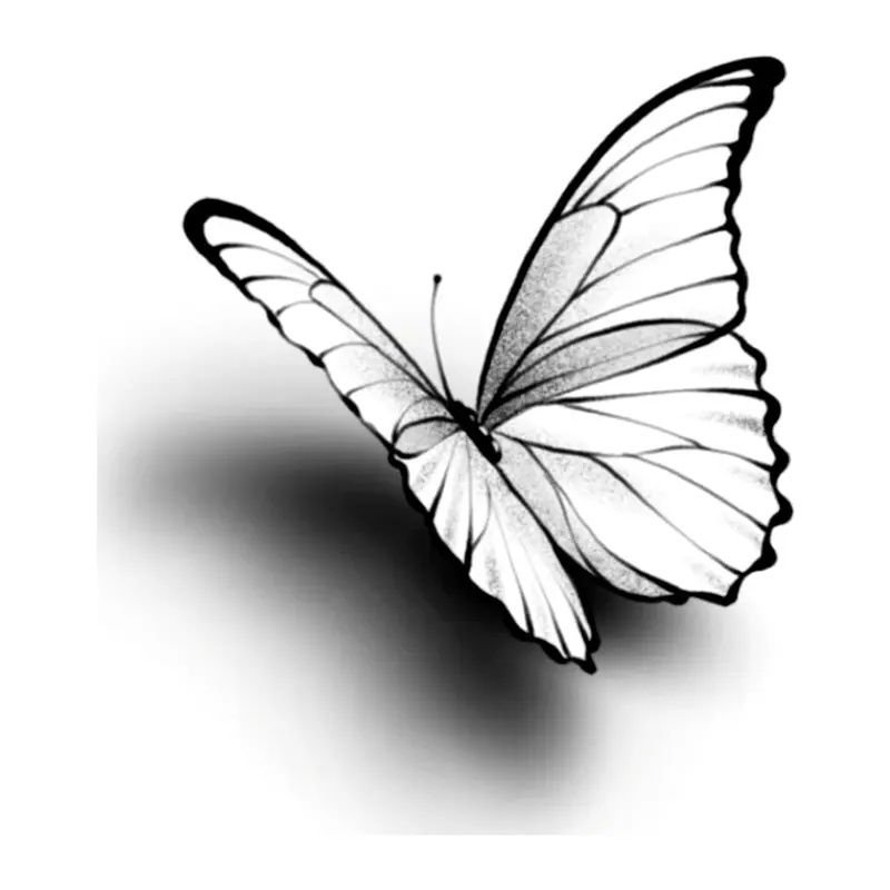 Tatuagem temporária Borboletas e Insetos — Borboleta com sombra. Inclui borboleta