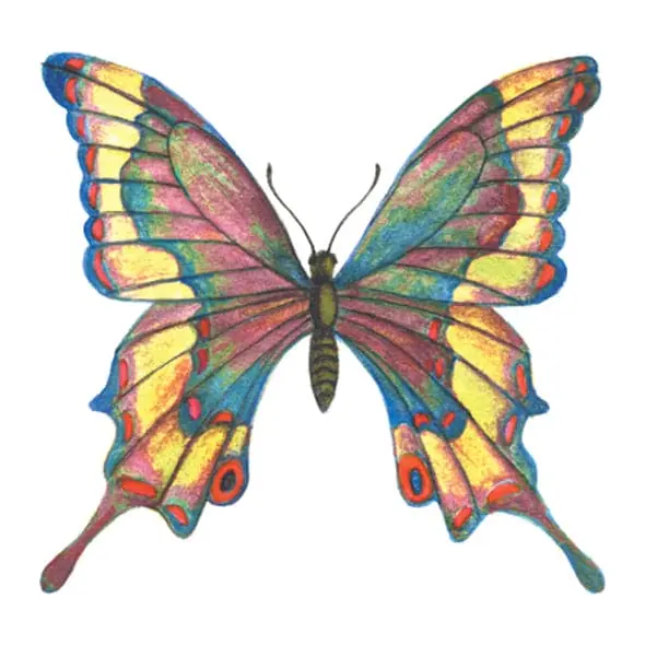Tatuagem temporária Borboletas e Insetos — Borboleta de vitral. Inclui borboleta