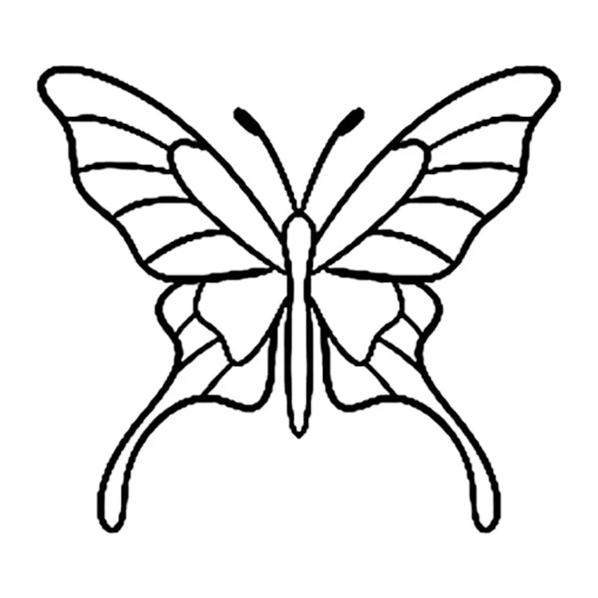 Tatuagem temporária Borboletas e Insetos — Borboleta em contorno. Inclui borboleta