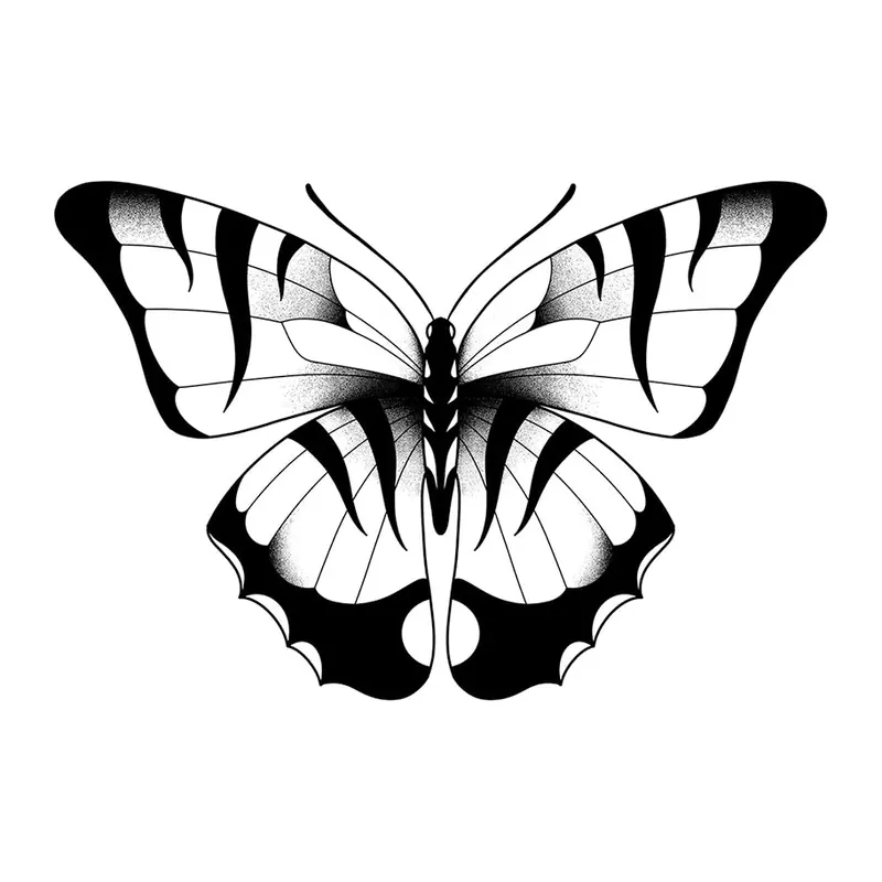 Tatuagem temporária Borboletas e Insetos — Borboleta listrada realista. Inclui borboleta