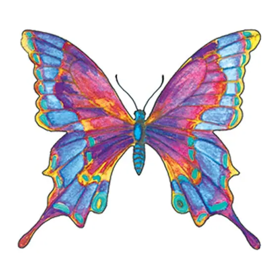 Tatuagem temporária Borboletas e Insetos — Borboleta multicolorida. Inclui borboleta