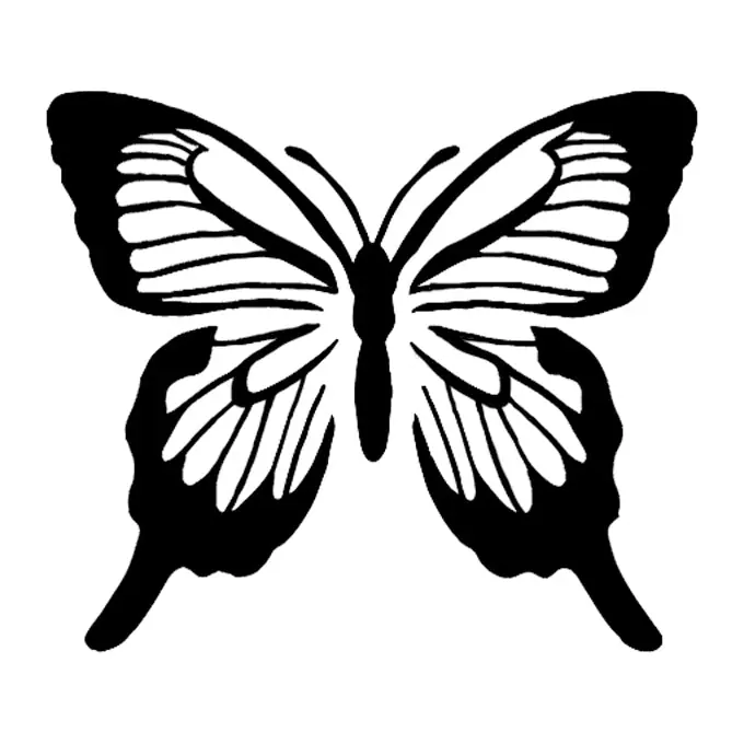 Tatuagem temporária Borboletas e Insetos — Borboleta preta e branca listrada. Inclui borboleta