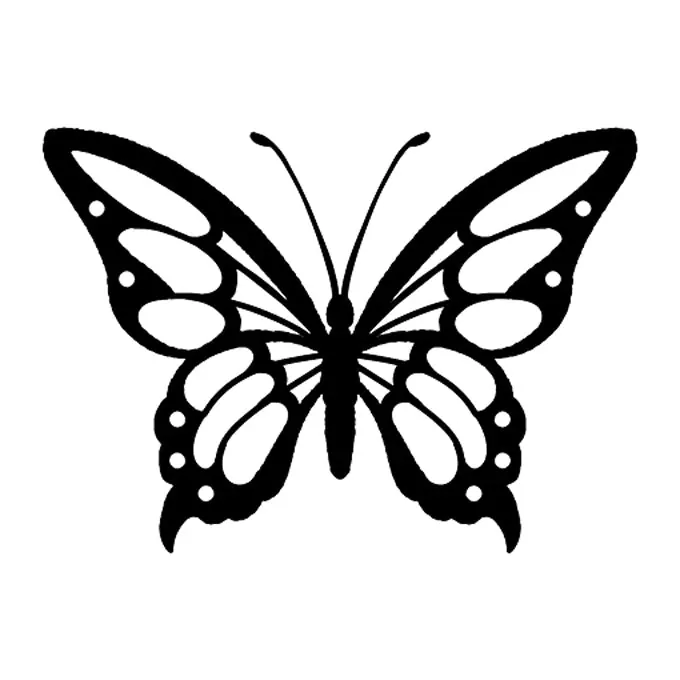 Tatuagem temporária Borboletas e Insetos — Borboleta preta e branca. Inclui borboleta