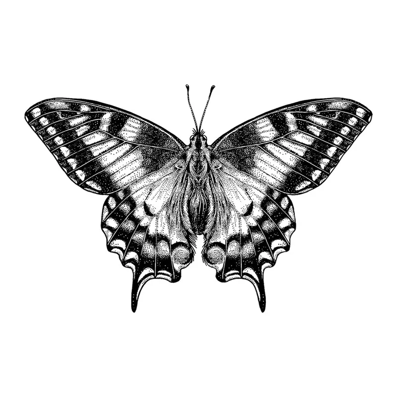 Tatuagem temporária Borboletas e Insetos — Borboleta realista. Inclui borboleta