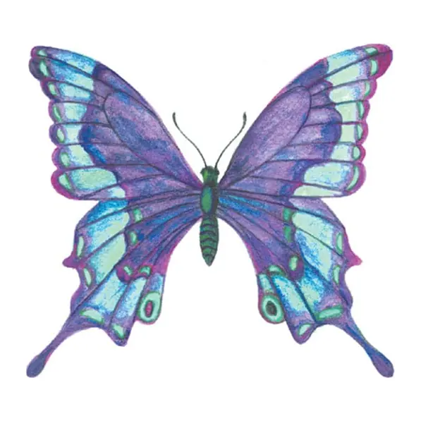 Tatuagem temporária Borboletas e Insetos — Borboleta roxa e azul. Inclui borboleta