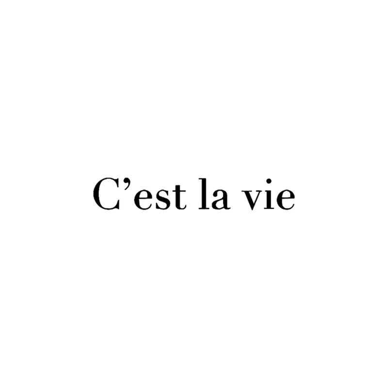 Tatuagem temporária Letras e Frases — C'est la vie (assim é a vida) — Modelo 1. Inclui frase em francês