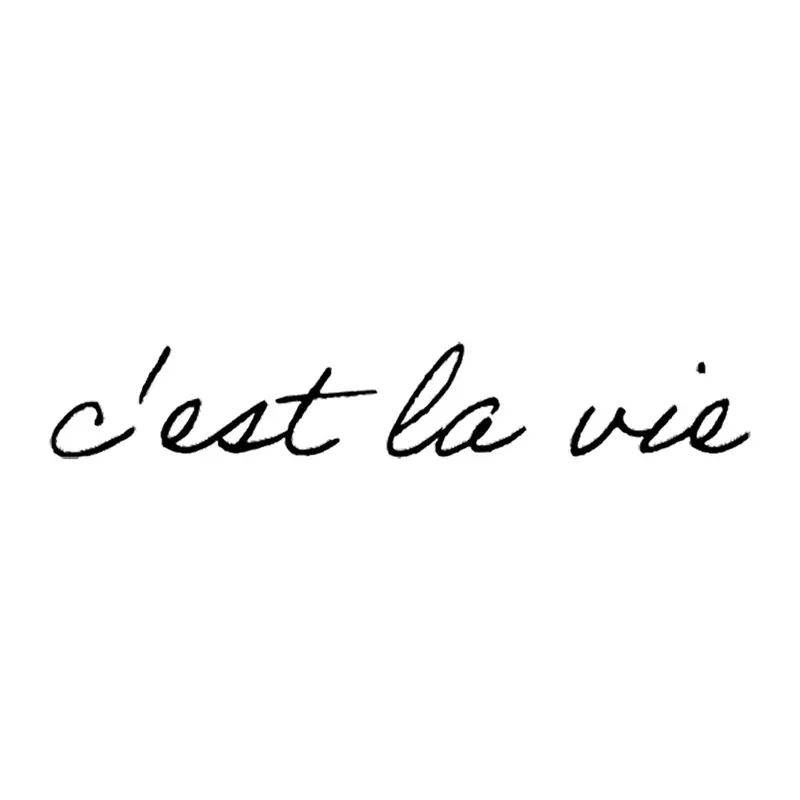 Tatuagem temporária Letras e Frases — C'est la vie (assim é a vida) — Modelo 2. Inclui frase em francês