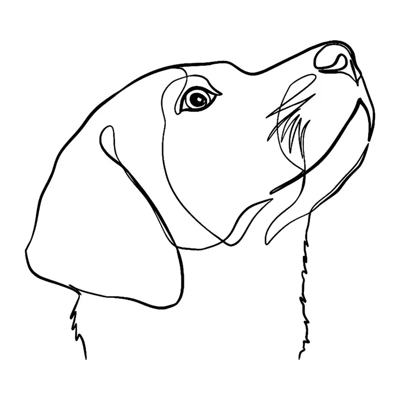 Tatuagem temporária Cachorros — Cachorro beagle em traço fino. Inclui cachorro, beagle