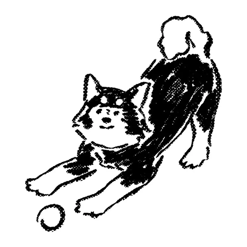 Tatuagem temporária Cachorros — Cachorro se espreguiçando. Inclui cachorro