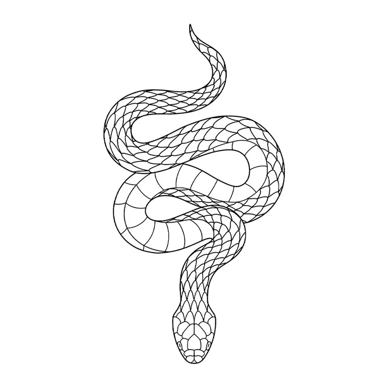 Tatuagem temporária Cobras e Répteis — Cobra em linhas. Inclui cobra