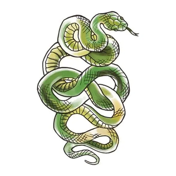 Tatuagem temporária Cobras e Répteis — Cobra verde enrolada. Inclui cobra