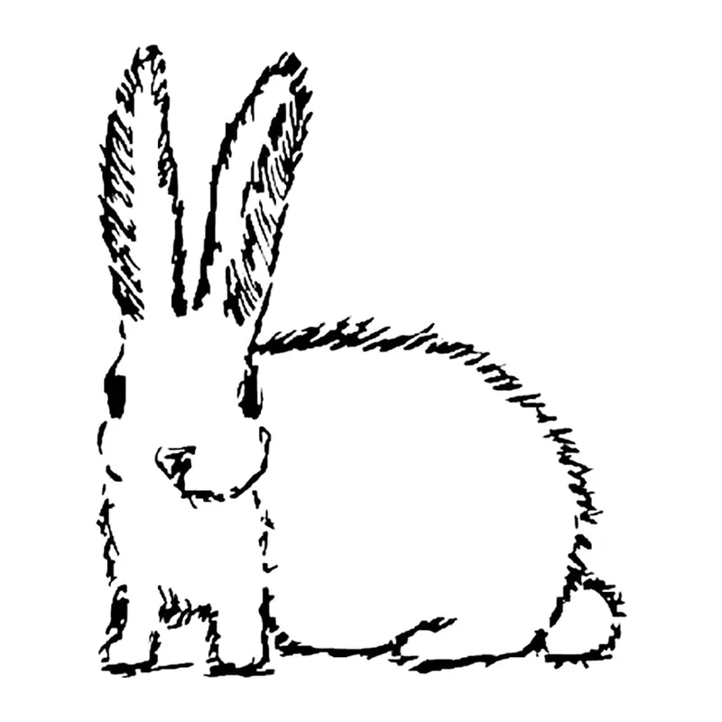 Tatuagem temporária Bichinhos Fofos — Coelho desenhado. Inclui coelho