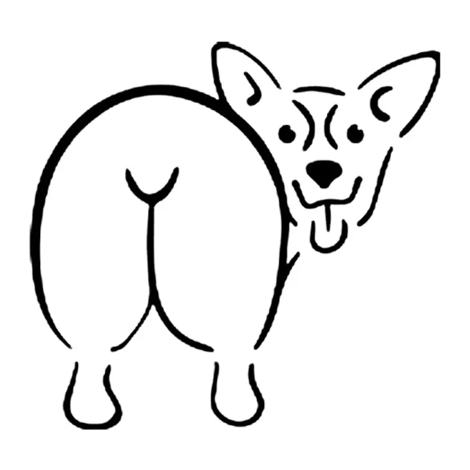Tatuagem temporária Cachorros — Corgi de costas. Inclui corgi