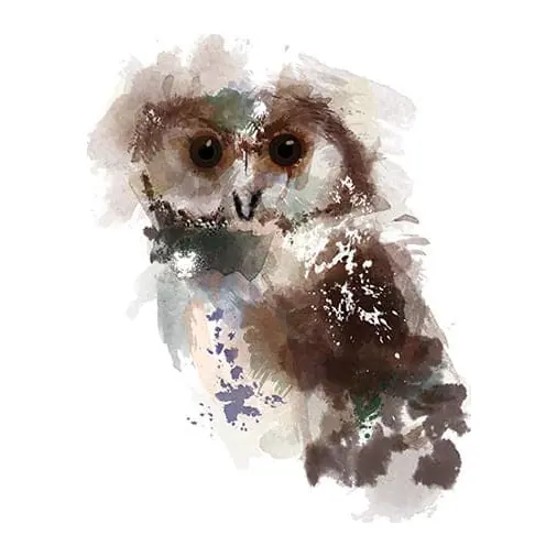 Tatuagem temporária Pássaros — Coruja em aquarela. Inclui coruja