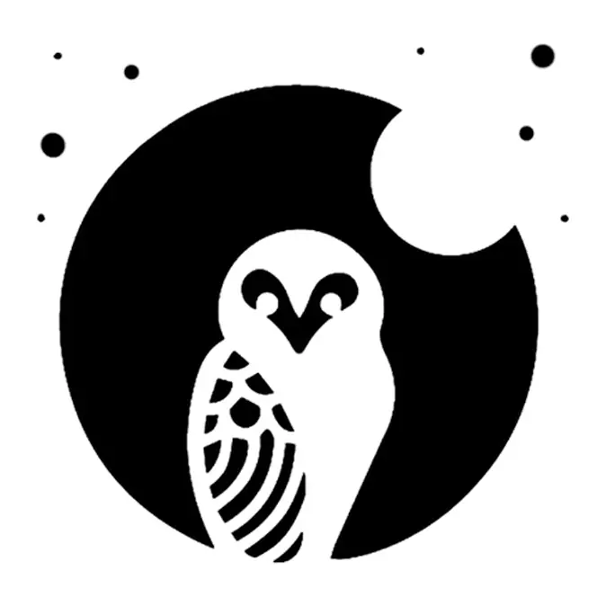 Tatuagem temporária Pássaros — Coruja na lua. Inclui coruja, lua