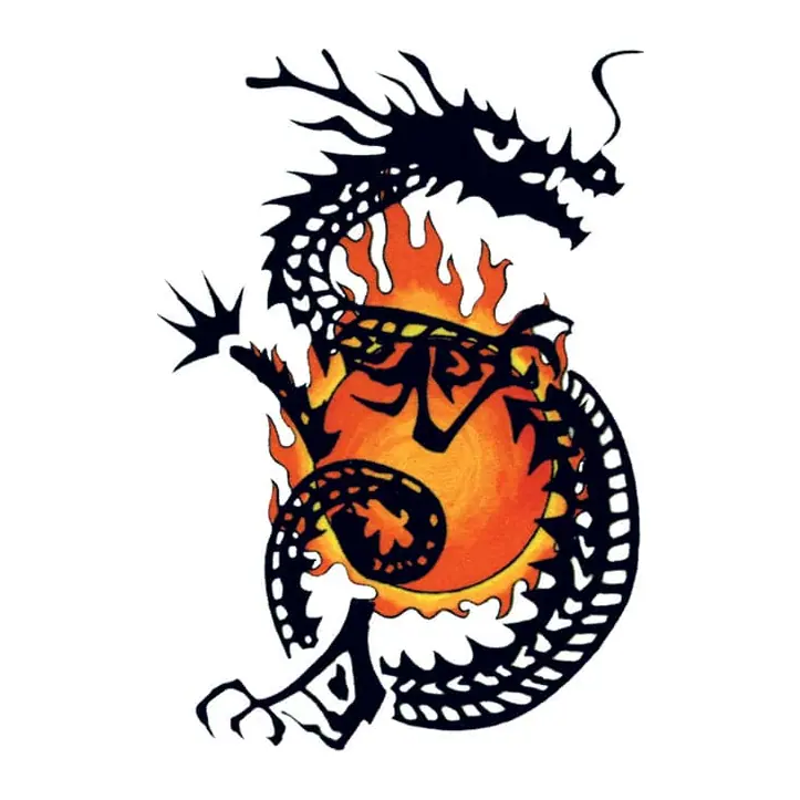 Tatuagem temporária Dragões e Fantasia — Dragão preto em chamas. Inclui dragão, chamas