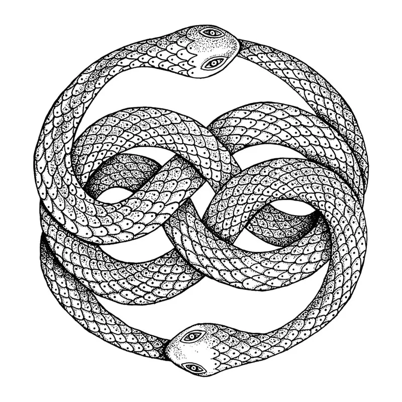 Tatuagem temporária Cobras e Répteis — Duas cobras entrelaçadas. Inclui cobras
