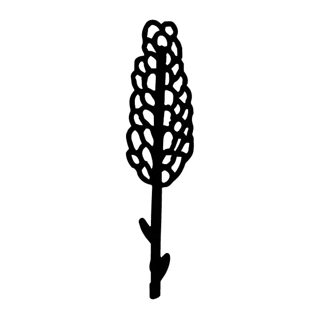 Tatuagem temporária Folhas e Plantas — Espiga. Inclui espiga