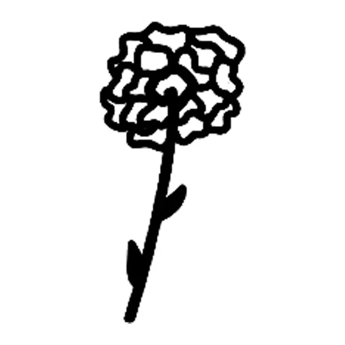 Tatuagem temporária Flores — Flor de cravo. Inclui cravo