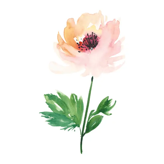 Tatuagem temporária Flores — Flor em aquarela. Inclui flor