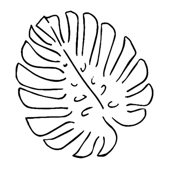 Tatuagem temporária Folhas e Plantas — Folha de monstera em contorno. Inclui monstera