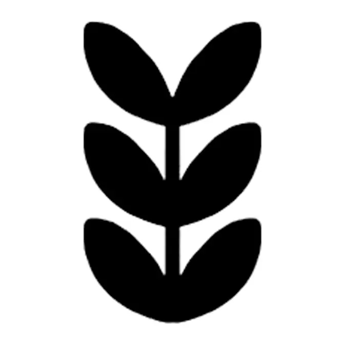 Tatuagem temporária Folhas e Plantas — Folhas pretas estilizadas. Inclui folhas