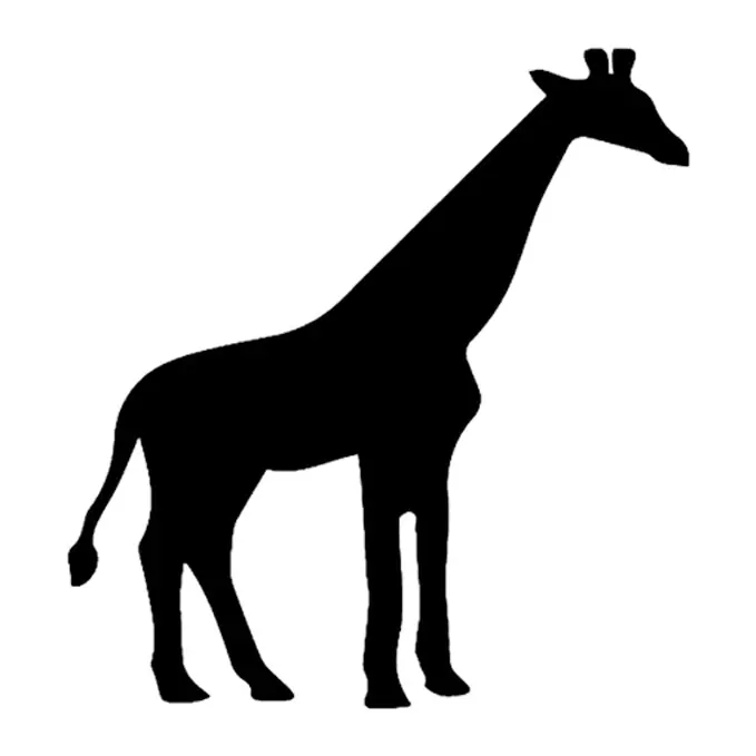 Tatuagem temporária Animais Selvagens — Girafa em silhueta. Inclui girafa