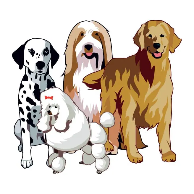 Tatuagem temporária Cachorros — Grupo de cachorros. Inclui cachorros