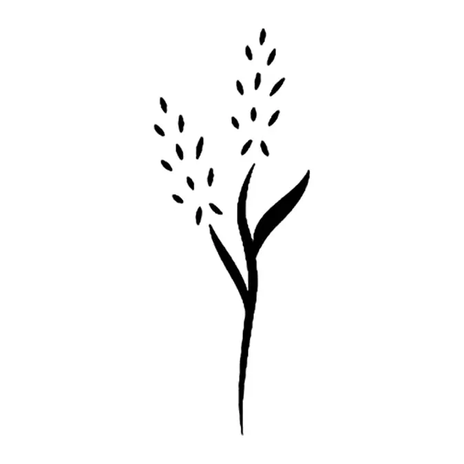 Tatuagem temporária Folhas e Plantas — Haste de trigo fina. Inclui trigo