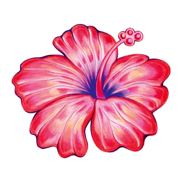 Tatuagem temporária Flores — Hibisco rosa. Inclui hibisco